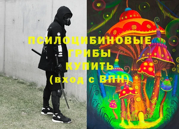 a pvp Алексин